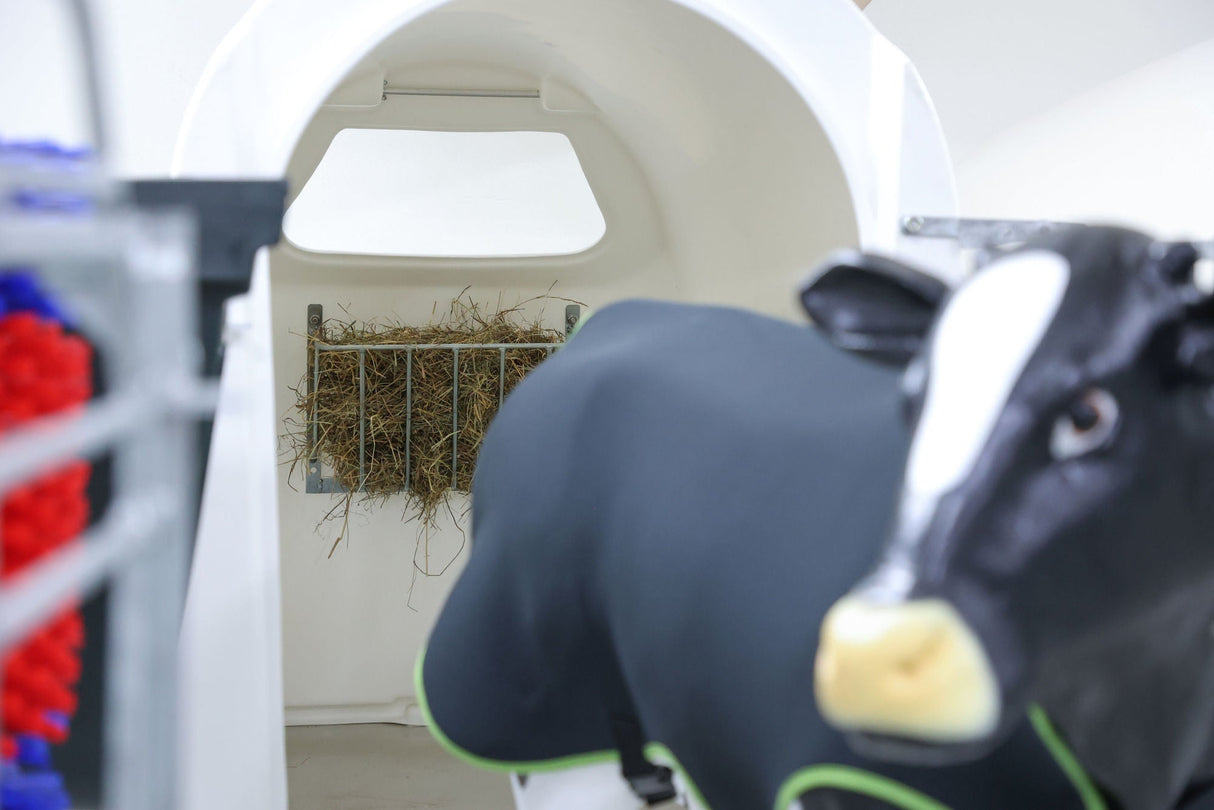 Kerbl Heuraufe, kleines Modellell, verzinkt 56 x 29,5 x 23 cm 1 Stück 3230