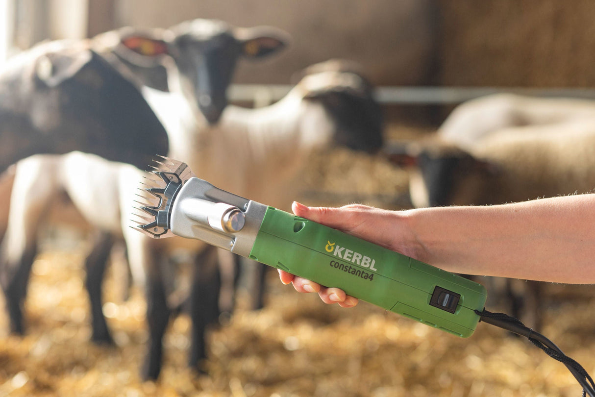 Kerbl Schafschermaschine Constanta4 230 V/400 W, 13/4 Zähne 18993