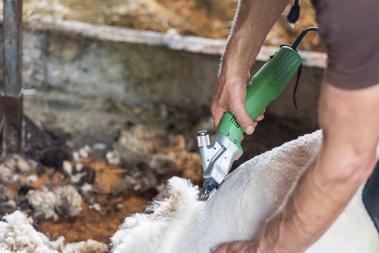 Kerbl Schafschermaschine Constanta4 230 V/400 W, 13/4 Zähne 18993