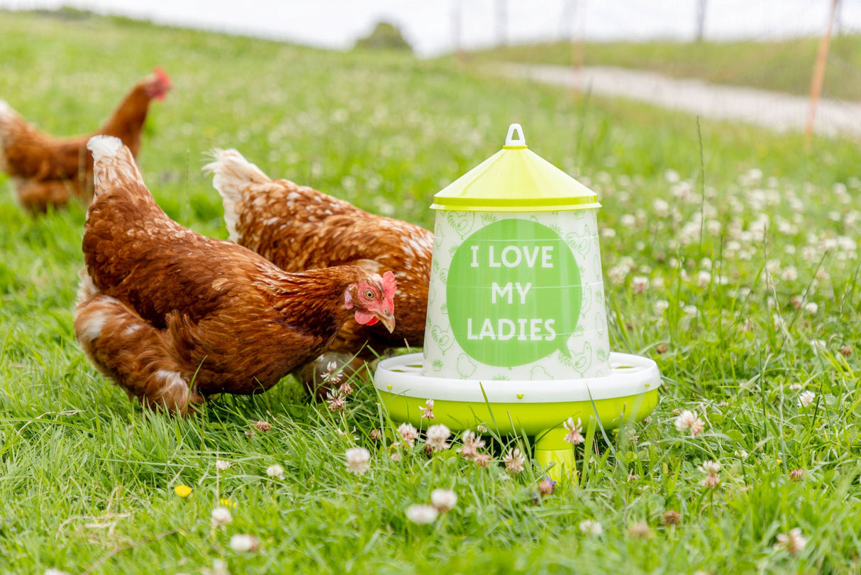 Kerbl Futterautomat für 4,8l/4kg,mit Füßen, grün mit Motiv - 70169