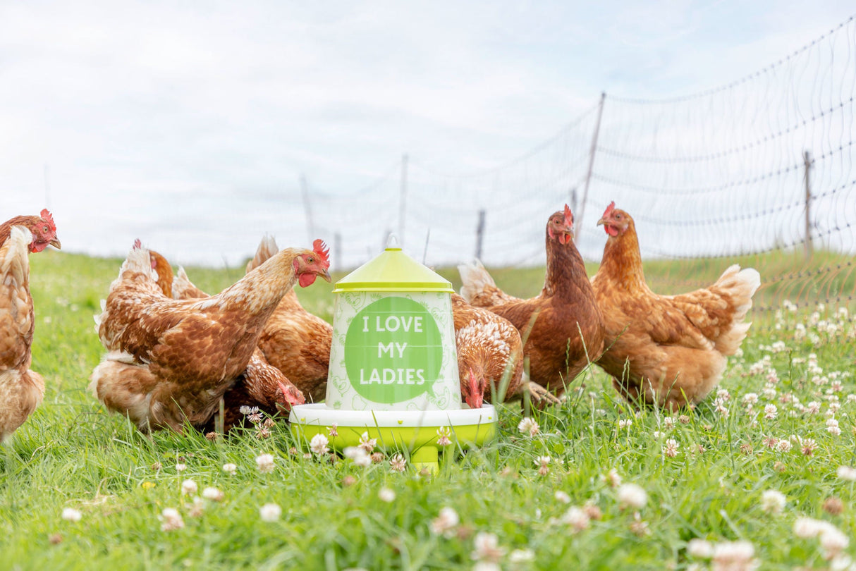 Kerbl Futterautomat für 4,8l/4kg,mit Füßen, grün mit Motiv - 70169