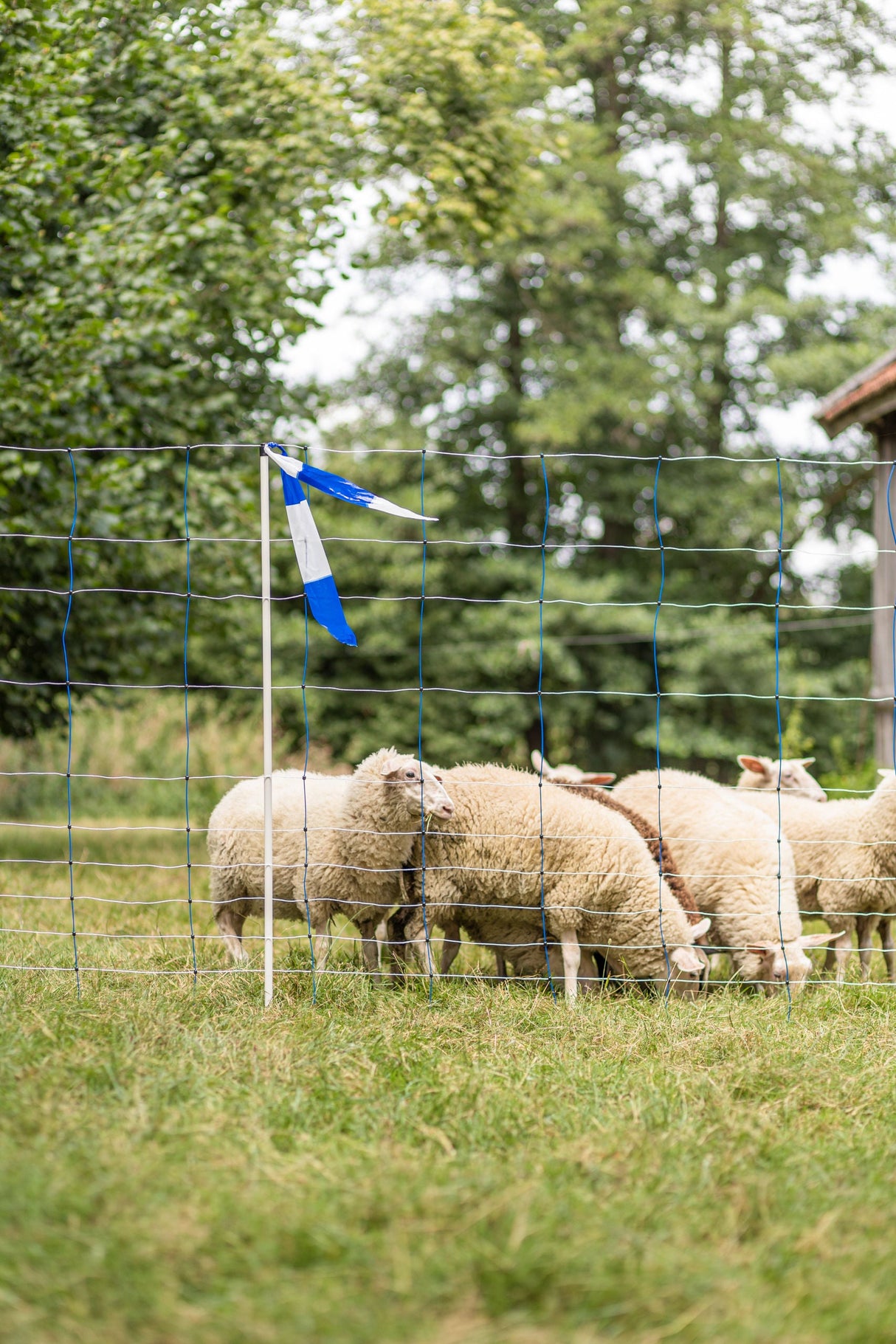 Kerbl Herdenschutzband blau/weiß, geblockt, 80mm, 100 m Rolle 27239