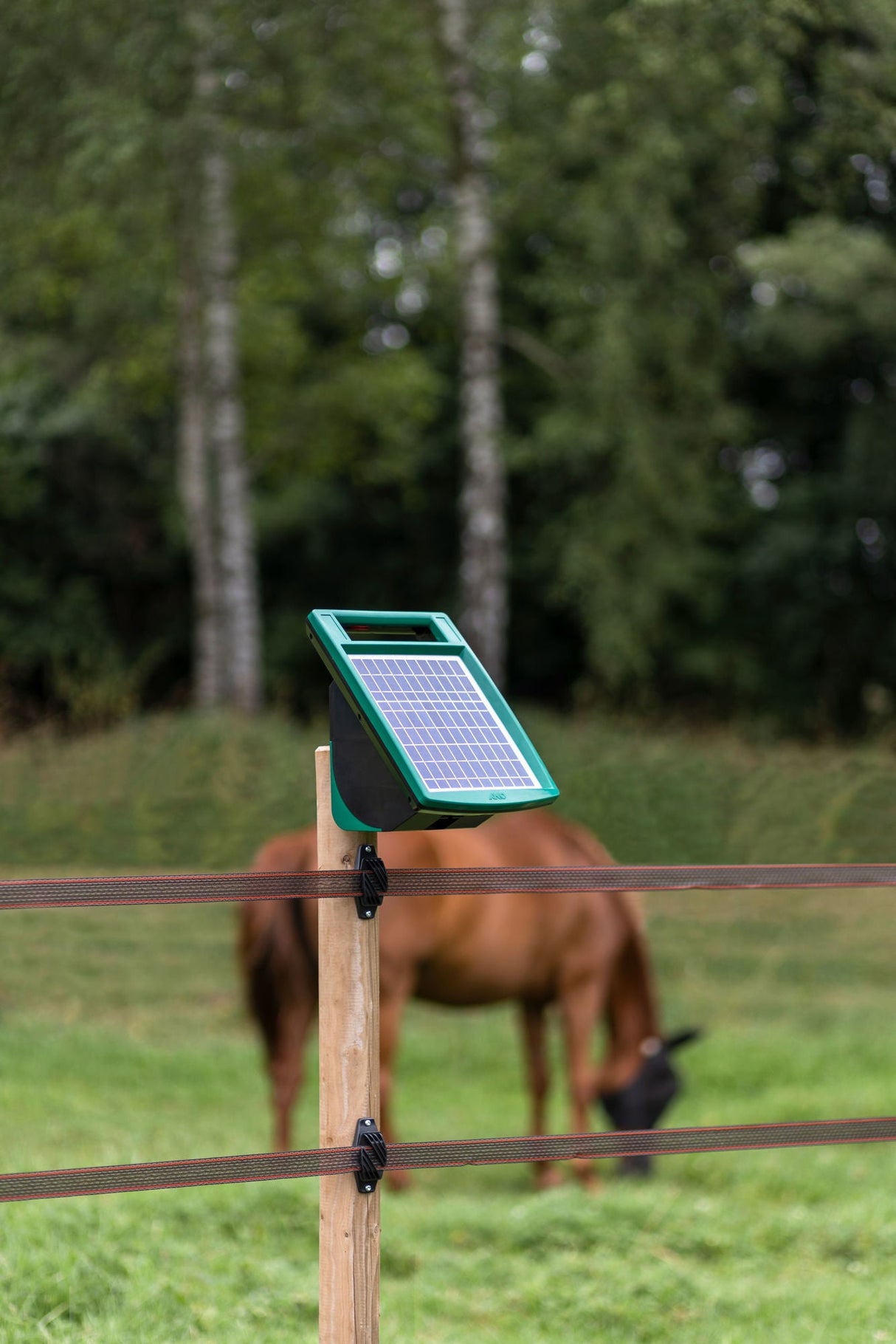 AKO SunPower S500 Weidzaungerät - 372949