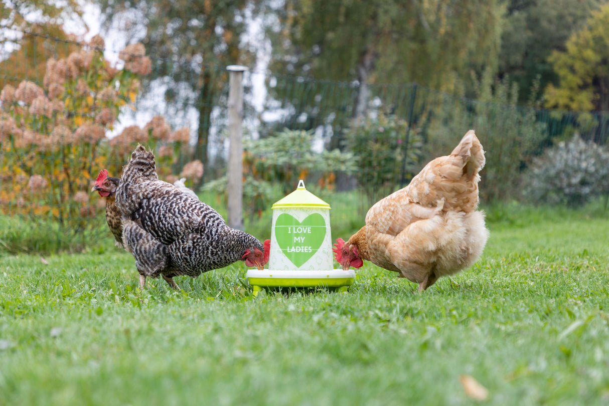 Kerbl Futterautomat für 2,4l/2kg,mit Füßen, grün mit Motiv - 70168