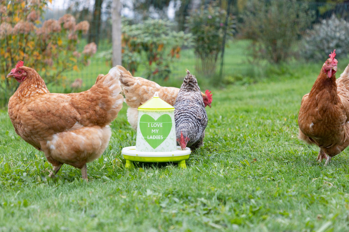 Kerbl Futterautomat für 2,4l/2kg,mit Füßen, grün mit Motiv - 70168