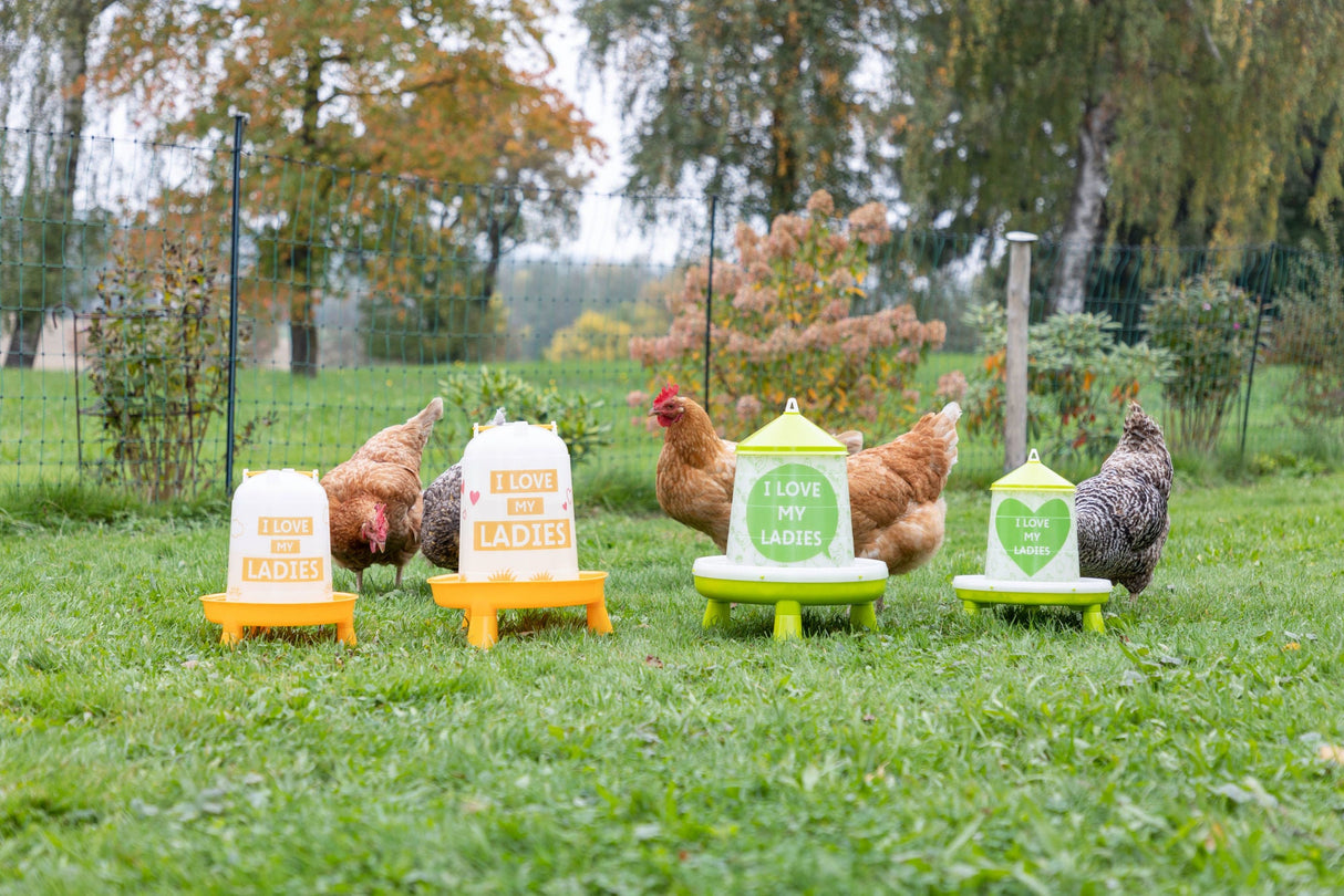 Kerbl Futterautomat für 2,4l/2kg,mit Füßen, grün mit Motiv - 70168