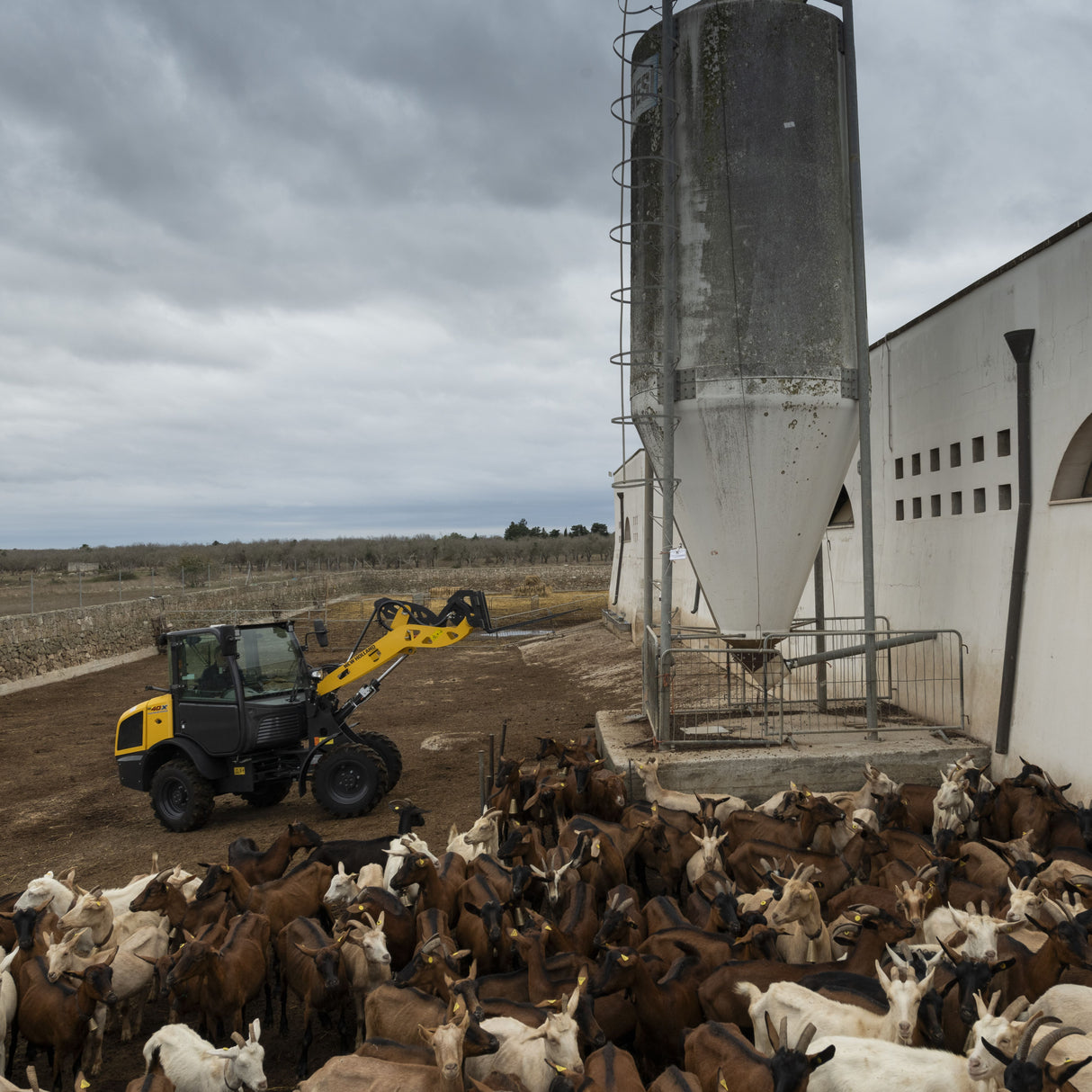 New Holland W40X Kompaktradlader