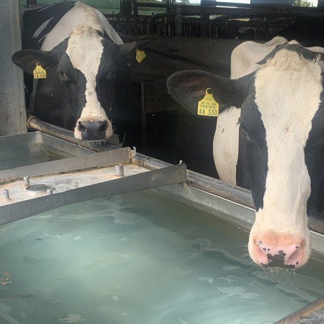 HydroFit disinfectant