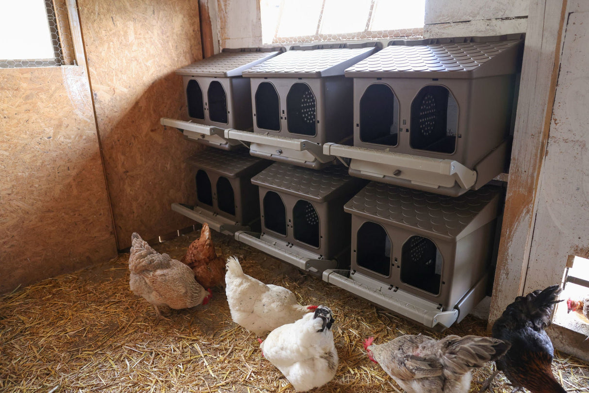 Kerbl Doppellegenest aus recyceltem Kunststoff, unverpackt - 73146 - 18 Stück