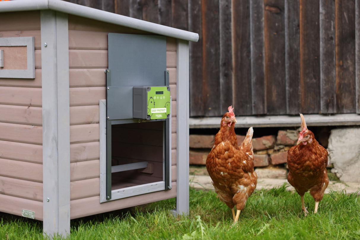 Kerbl automatische Hühnertür Easy Protect Steuerung mit Tür - 70590