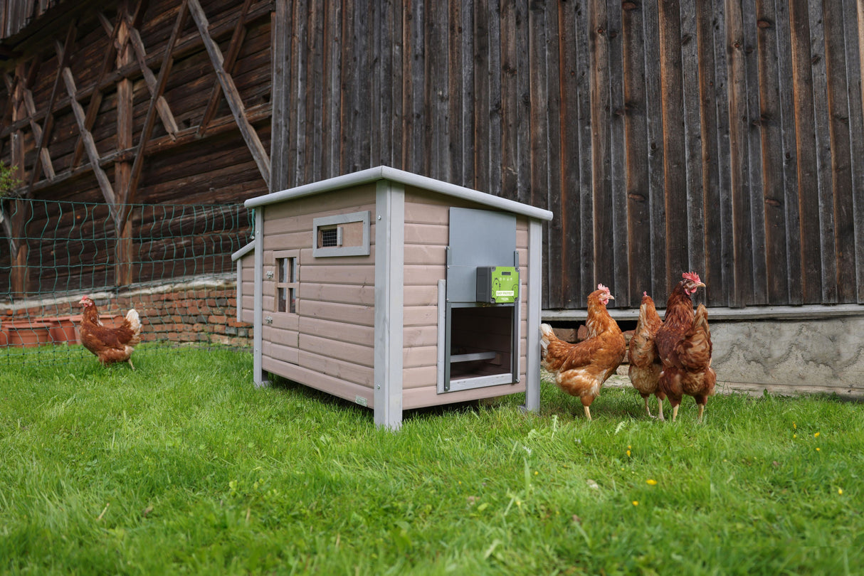 Kerbl automatische Hühnertür Easy Protect Steuerung mit Tür - 70590