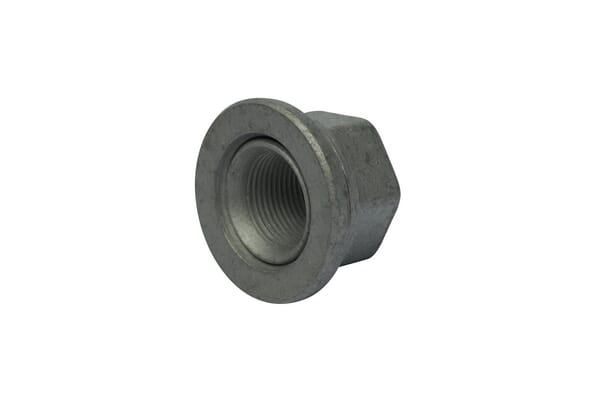 SDF Group Nut 21099085030