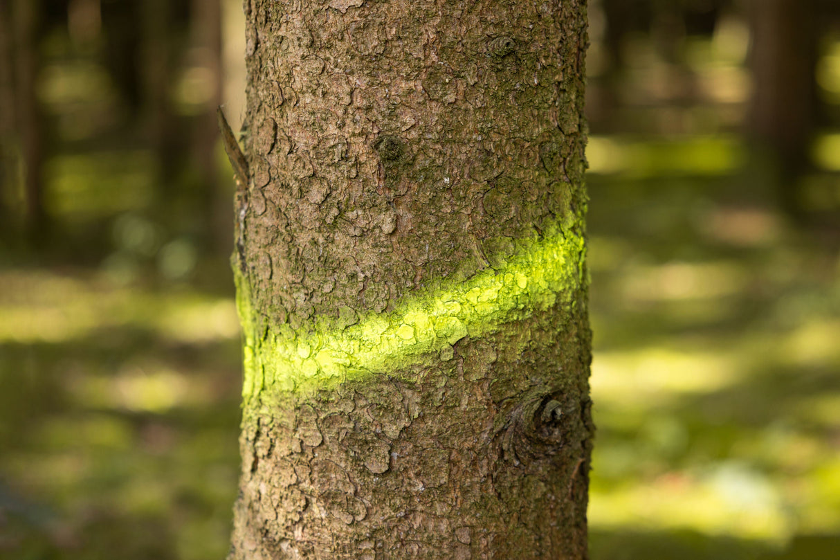 Kerbl Markierungsspray Forst Neon neongelb, 500ml - 291401