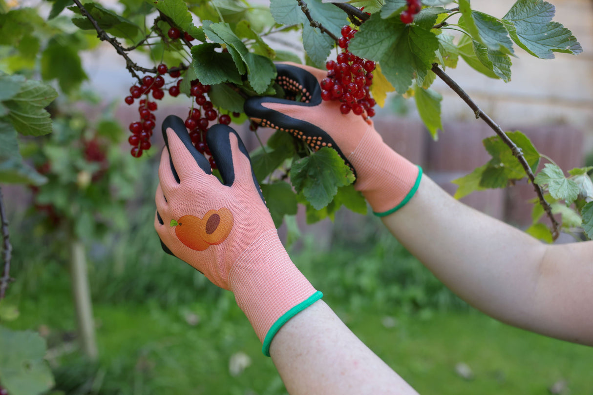 Kerbl Gartenhandschuh Blossom, Gr. 8 apricot, genoppt - 298058
