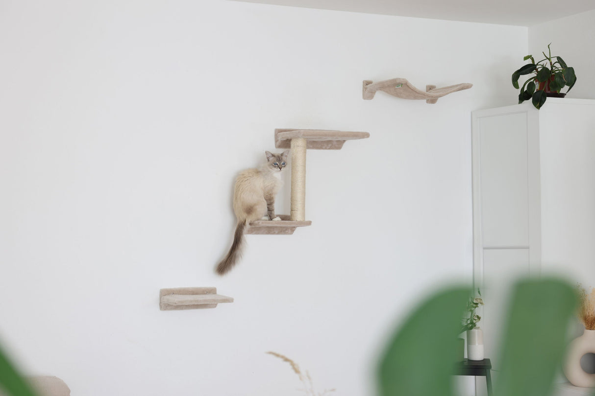 Kerbl Artikel 81632 im Online Shop kaufen