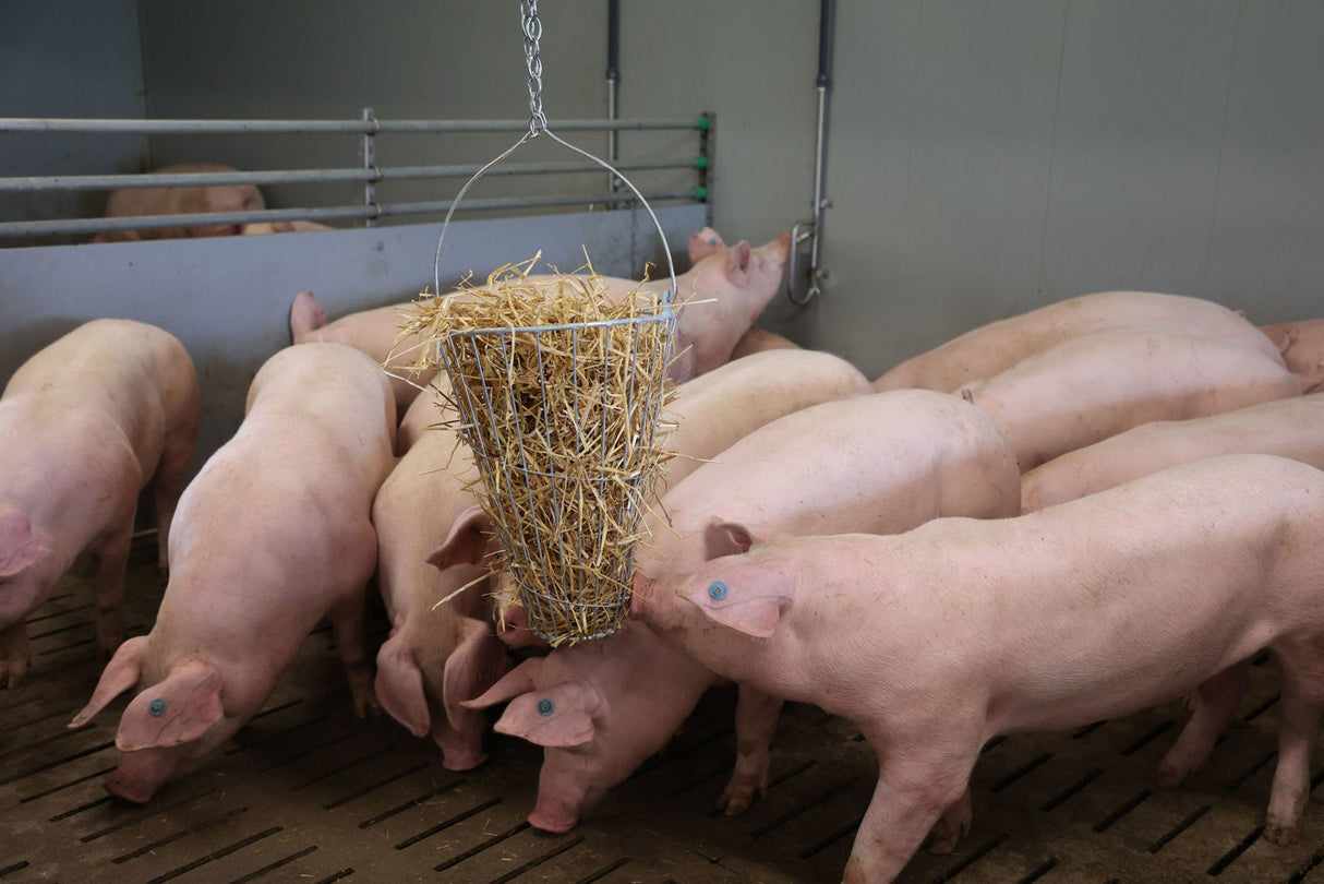 Kerbl Grünfuttertrog / Futterkorb 70280