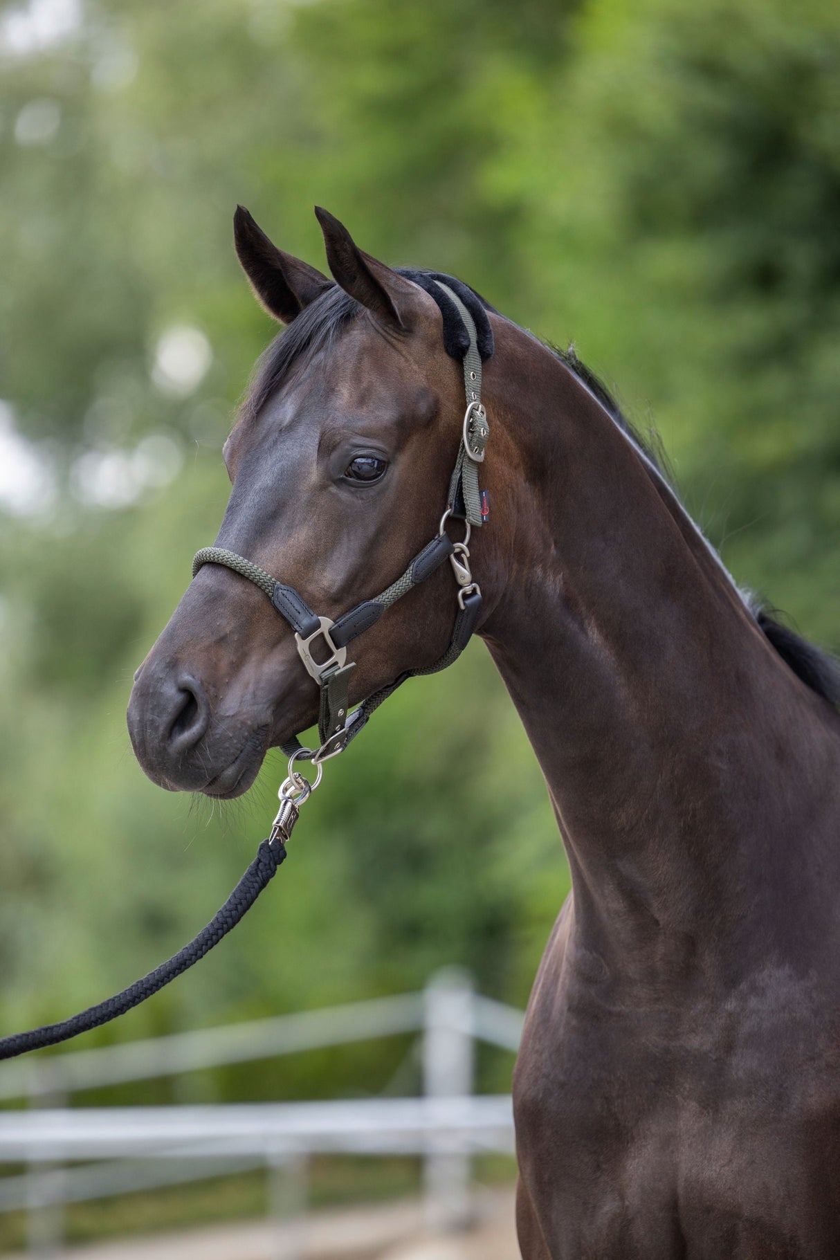 Kerbl Artikel 3297740 im Online Shop kaufen