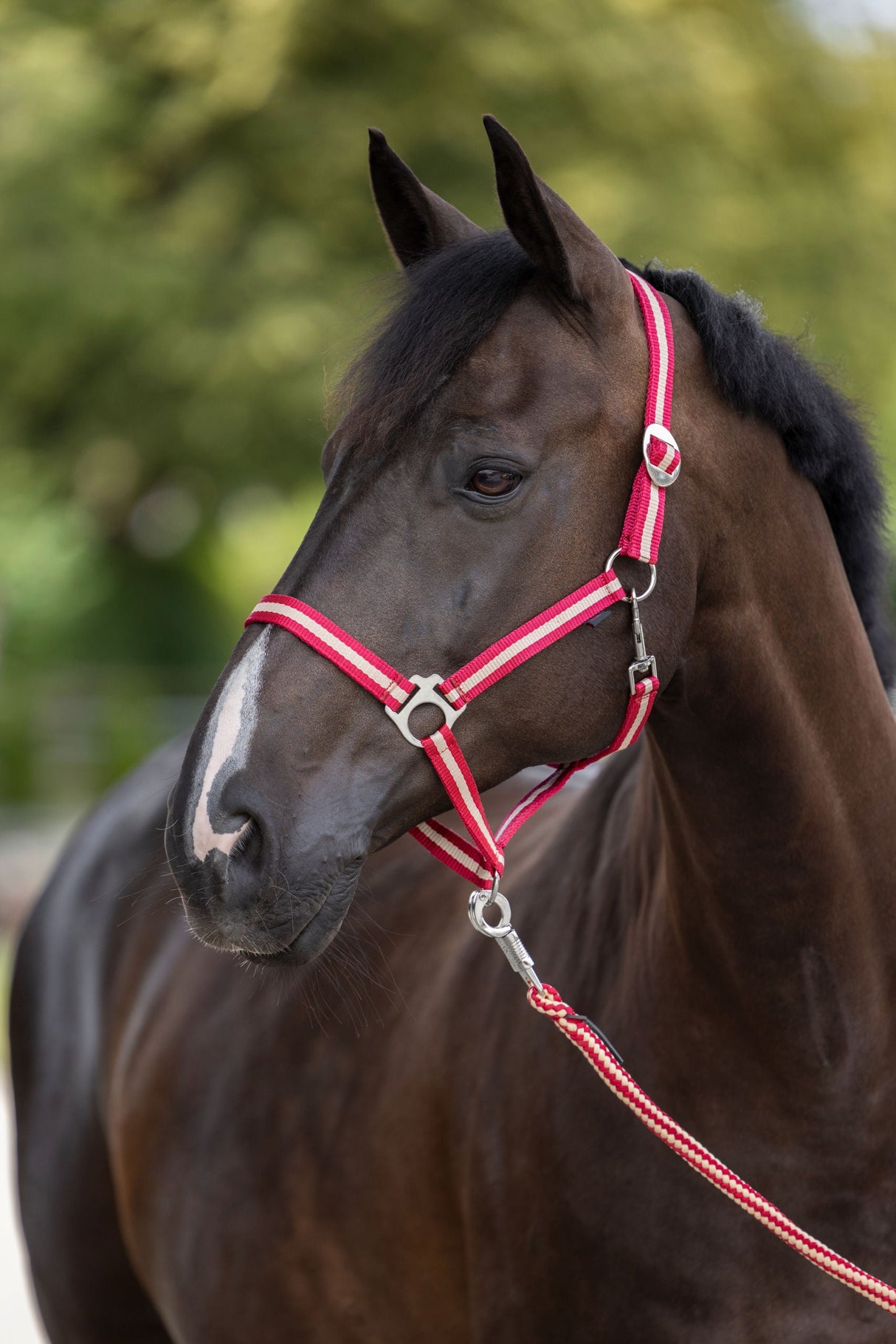 Kerbl Artikel 328243 im Online Shop kaufen