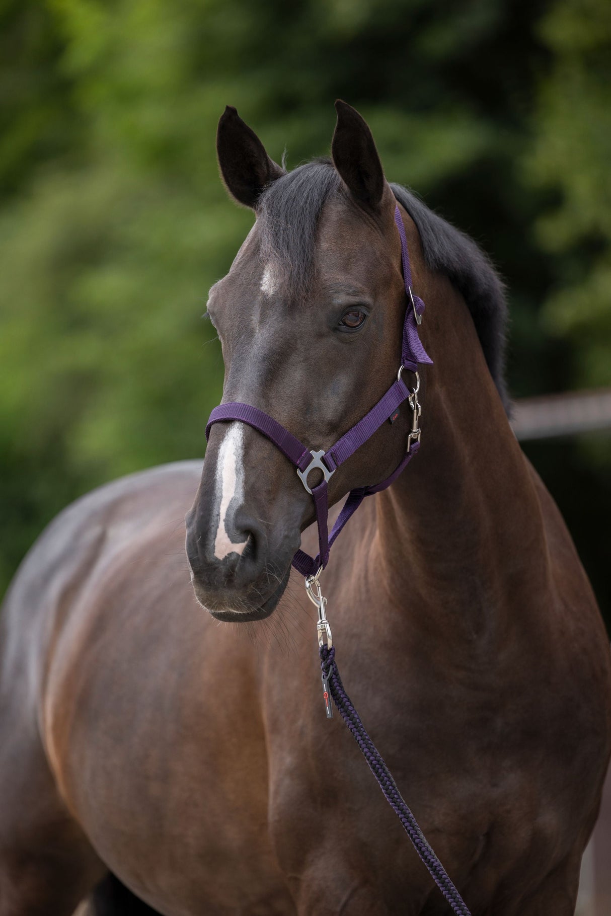 Kerbl Artikel 3222135 im Online Shop kaufen