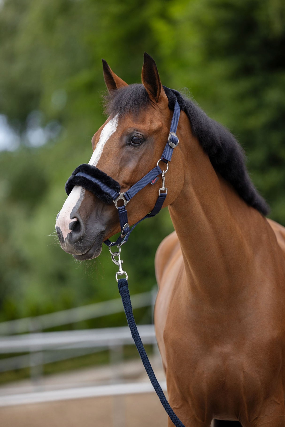 Kerbl Artikel 3224750 im Online Shop kaufen