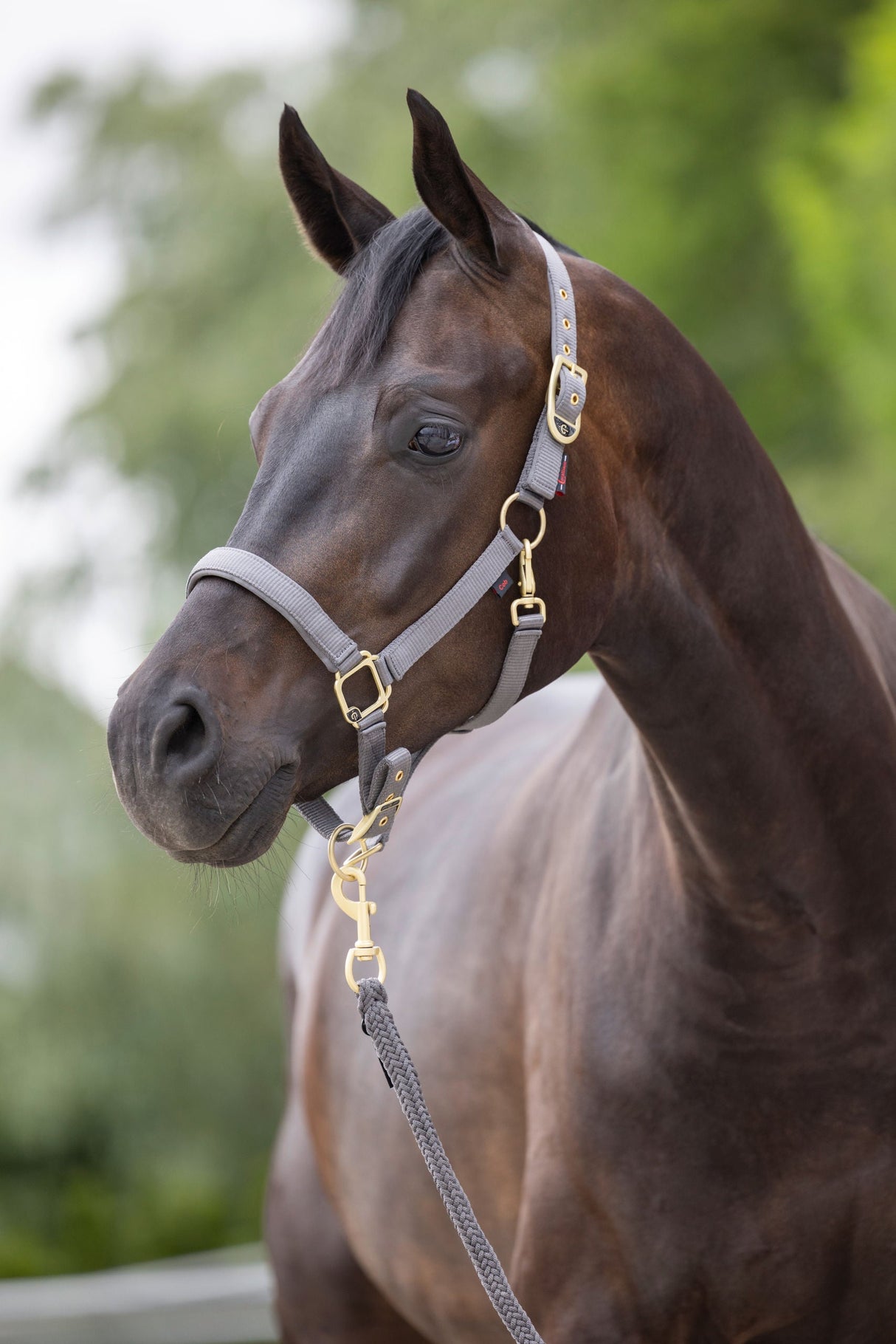 Kerbl Artikel 3224733 im Online Shop kaufen