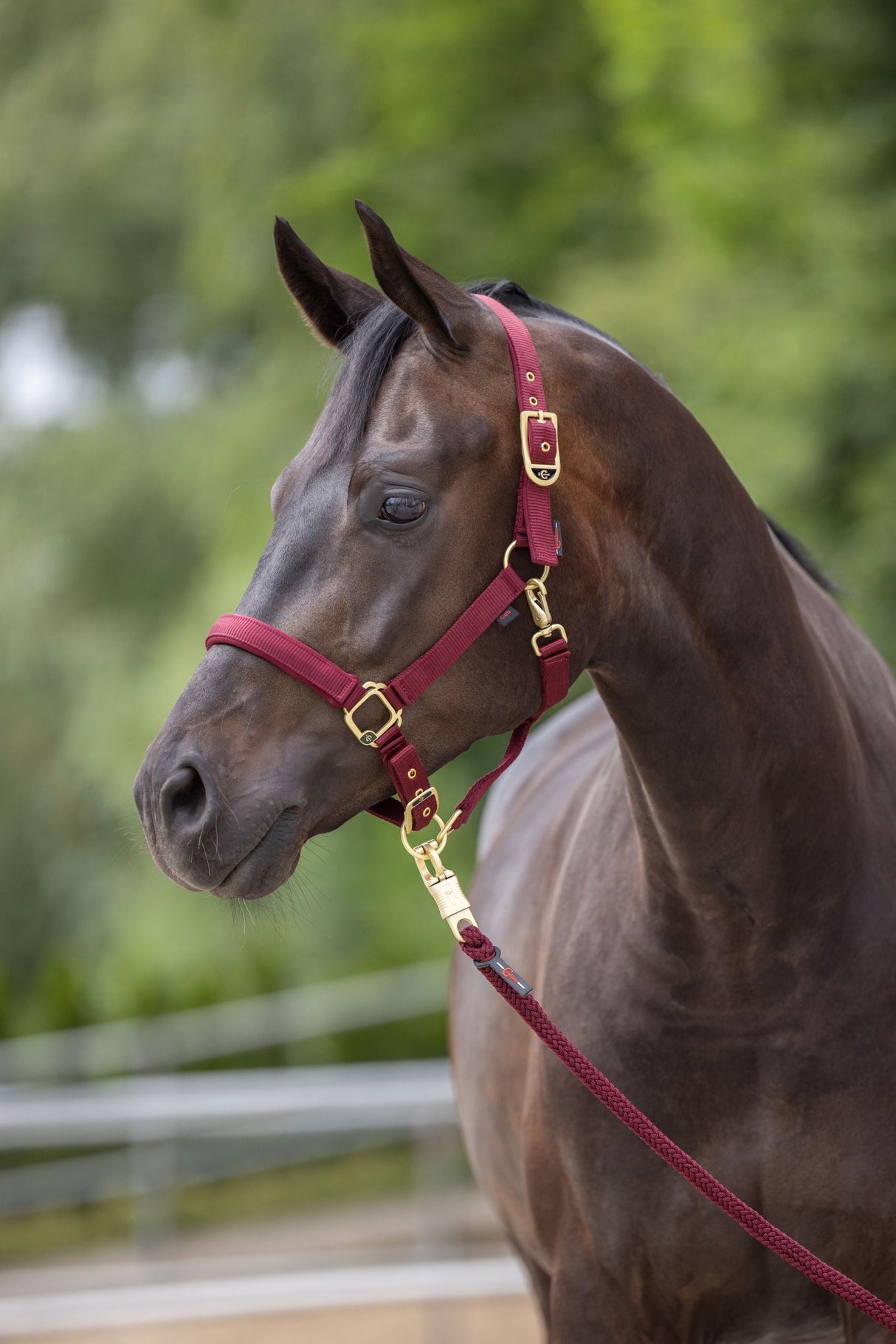 Kerbl Artikel 3224737 im Online Shop kaufen