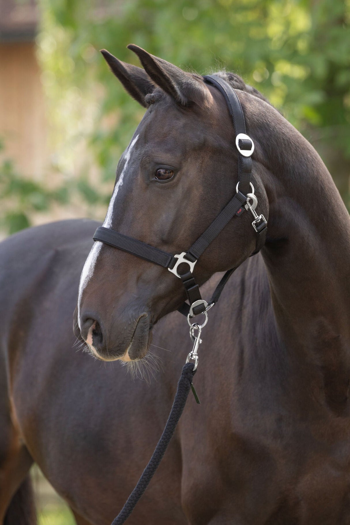 Kerbl Halfter Doria, black Pony - 3228196