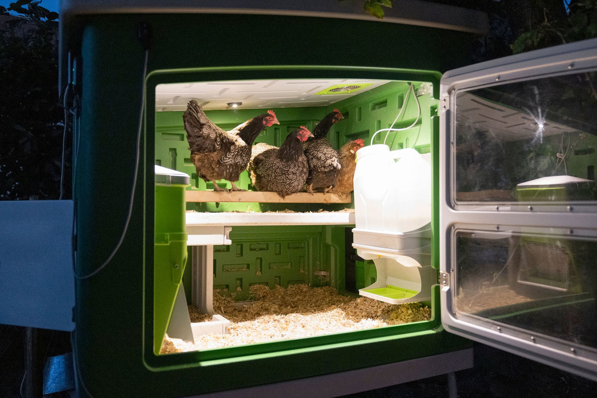 Kerbl Mobile Coop Hühnerhaus aus Kunststoff für SmartCoop 119x96x162cm, 2 Kartons - 81737