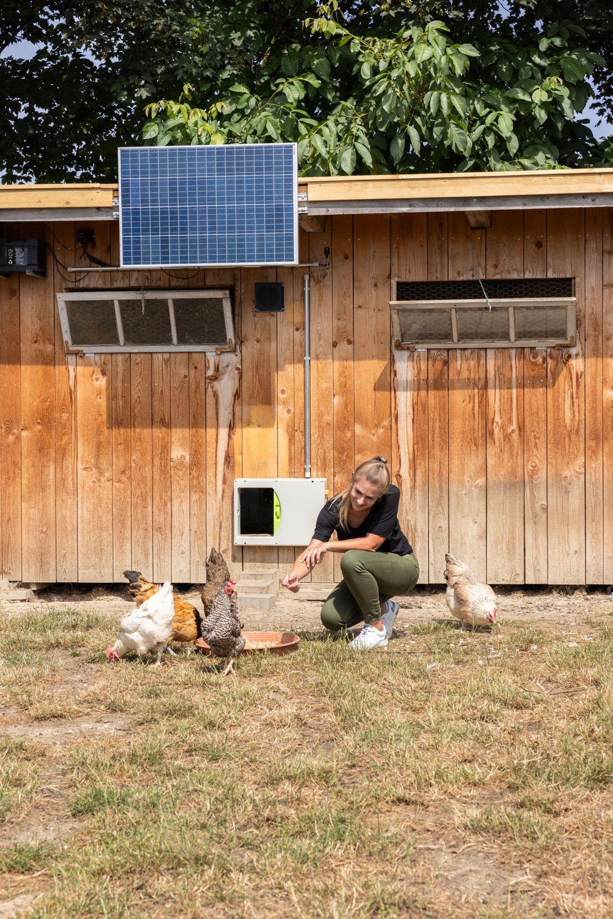 Kerbl Solarset 100W inkl. Laderegler 12V DC - 70601