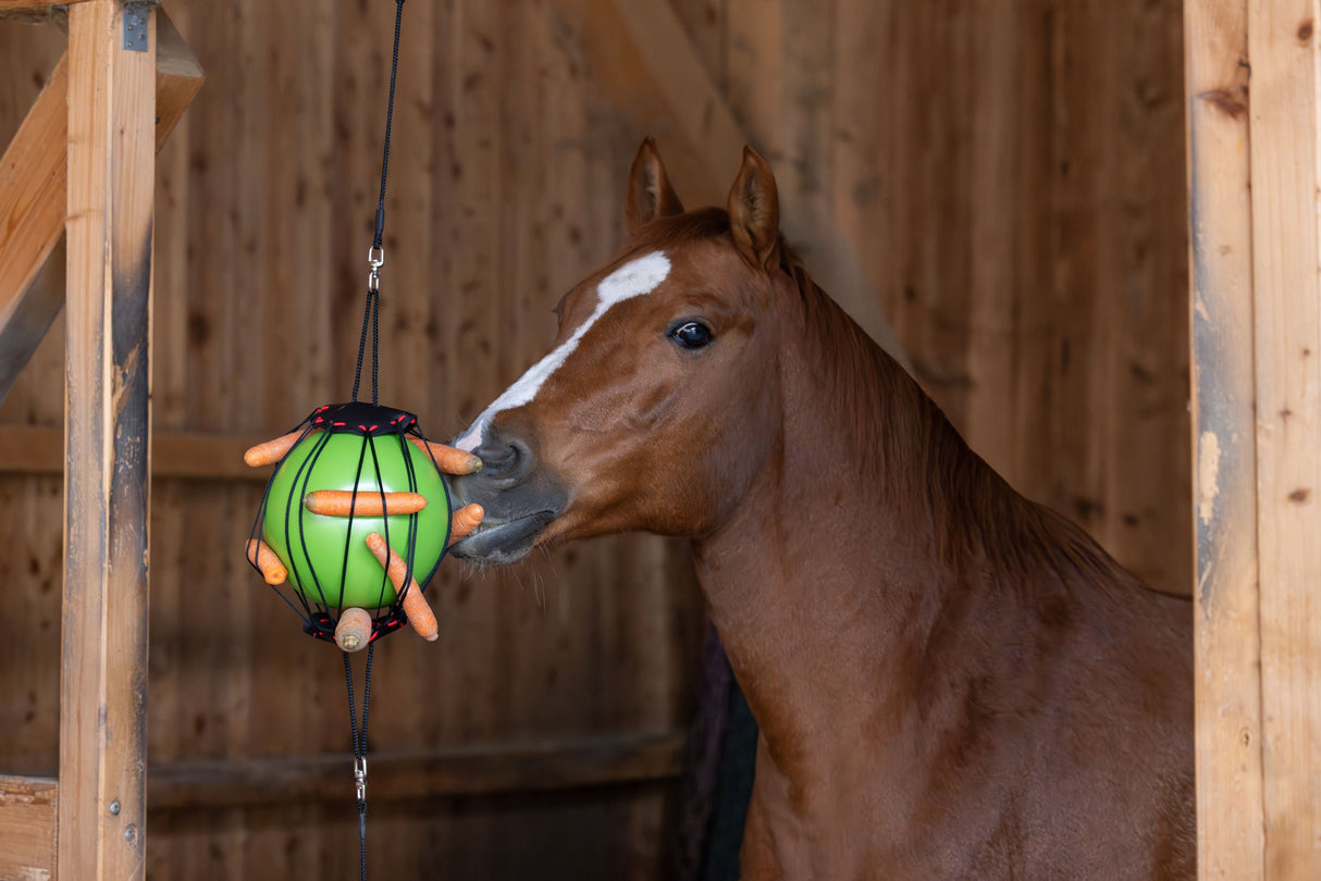 Kerbl Artikel 32390 im Online Shop kaufen