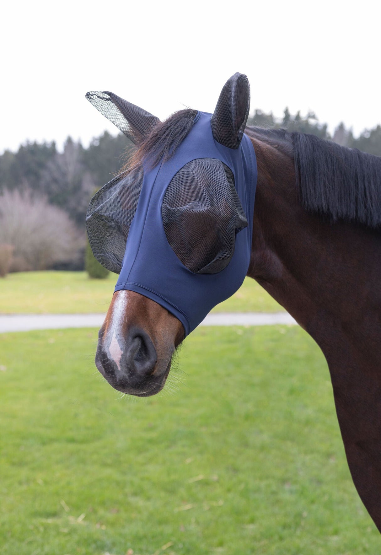 Kerbl Fliegenschutzmaske FinoStrech blau, Pony - 3229053