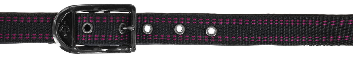 Kerbl Pferdehalfter Royal schwarz/fuchsia, Foal - 3228171