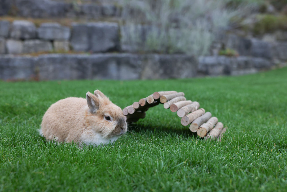 Kerbl Artikel 84084 im Online Shop kaufen