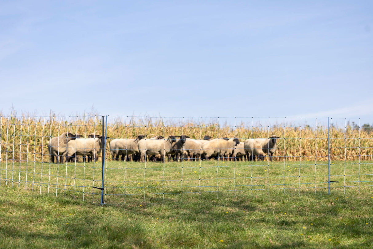 Kerbl Unterstützungspfahl für Weide- netze, 145cm, Ø14mm,verzinkt 1 Stück 27350