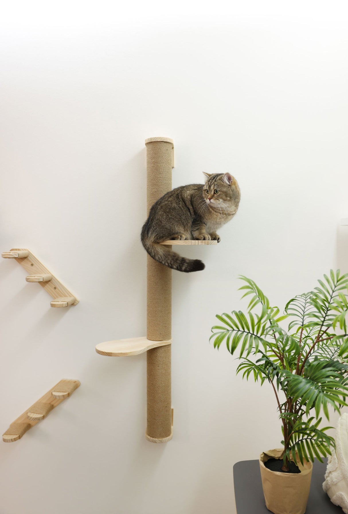 Kerbl Wandkratzbaum Timber für Katzen, natur/grau 1 Stück 81612