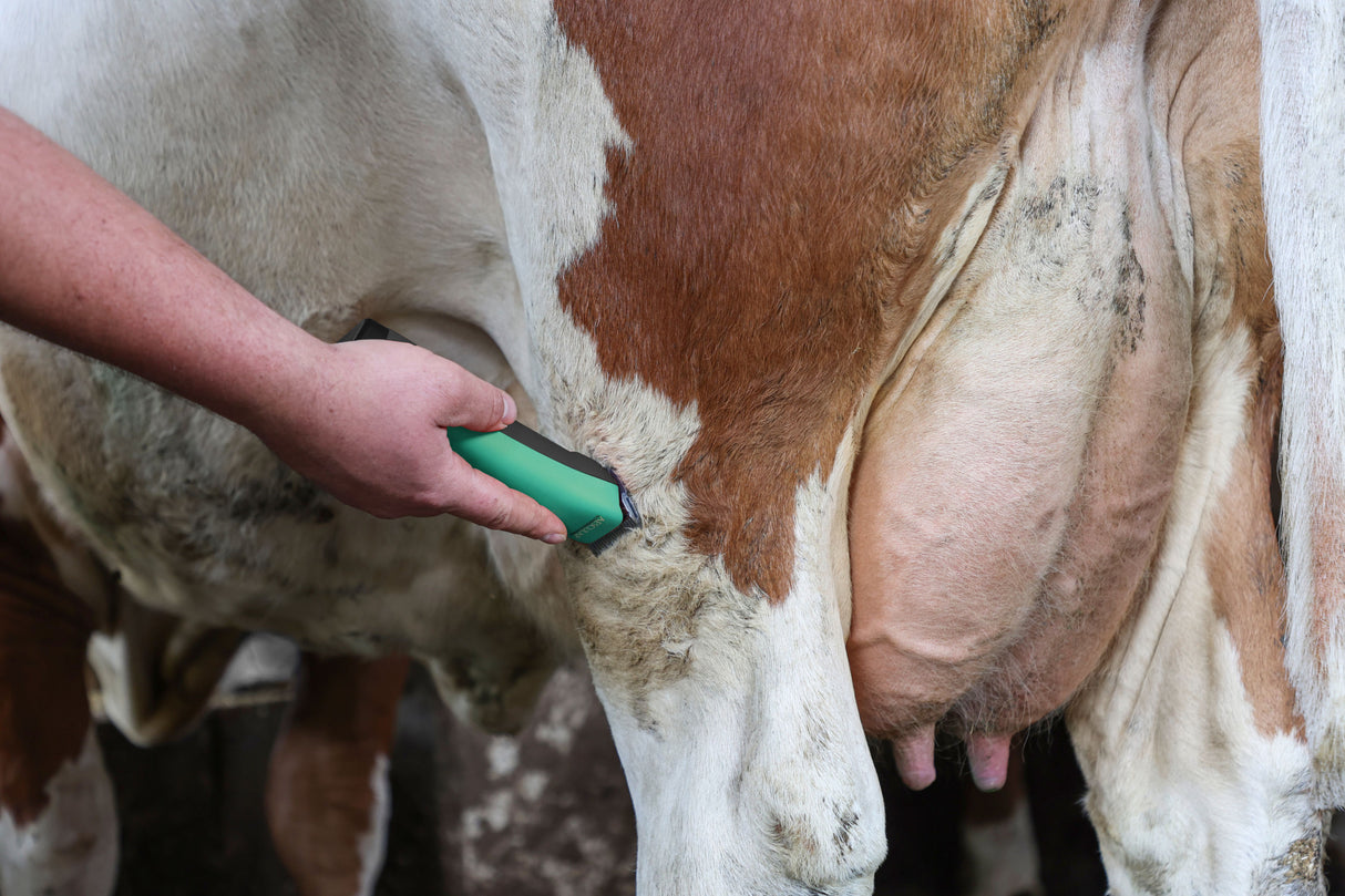 GEA Akkuschermaschine Detailschur Aesculap - 7315-5461-000 (GT434-OG-GEA)