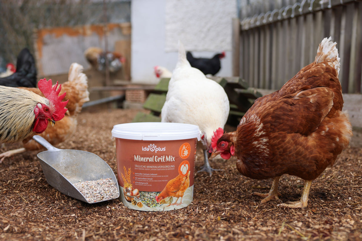 Ida Plus Mineral Grit Mix 5 kg Ergänzungsfuttermittel für Geflügel - 73190