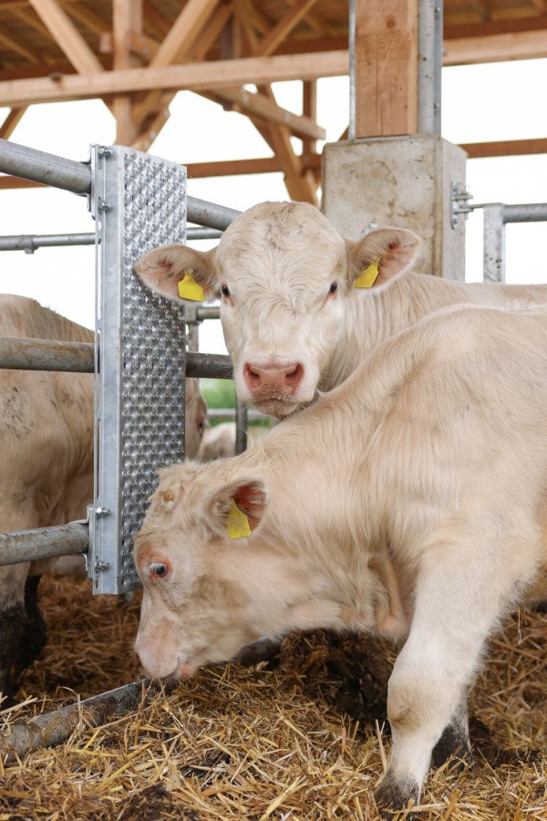 Kerbl Kratzblech für Rindermast 90cm x 30 cm - 293150