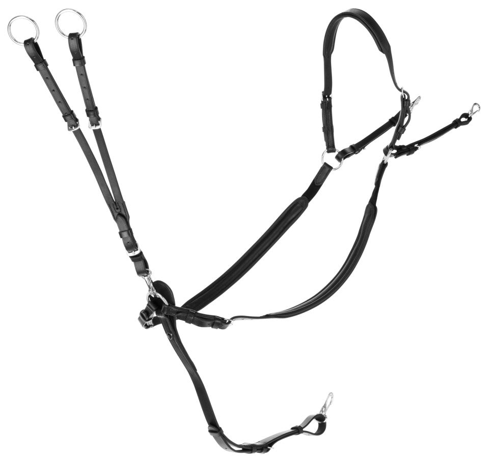 Covalliero Vorderzeug schwarz, Cob - 3230214