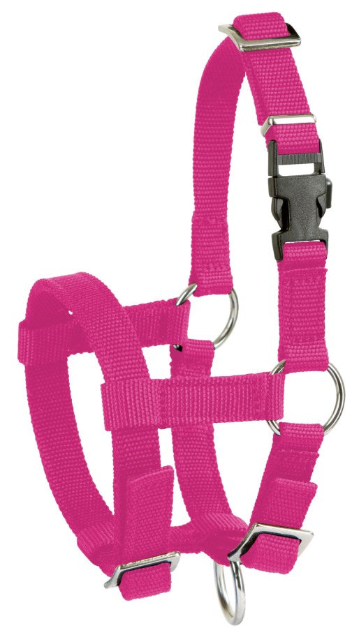 Kerbl Alpaka-Halfter, pink pink, 20mm PP - 27184