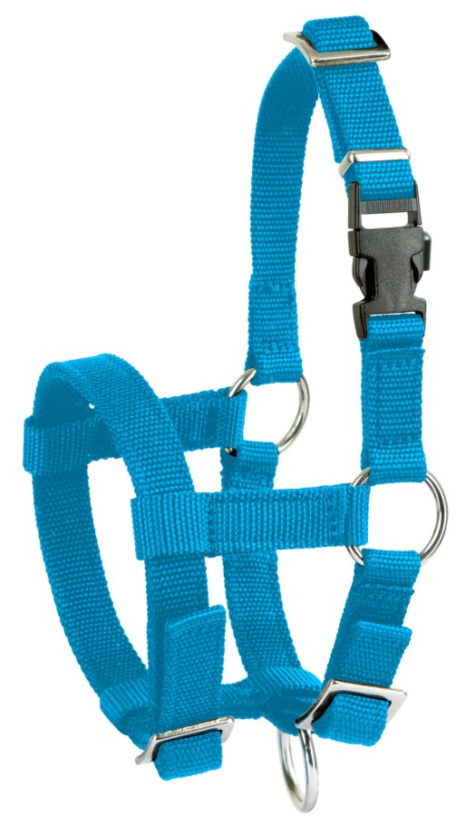 Kerbl Alpaka-Halfter, blau blau, 20mm PP - 27183