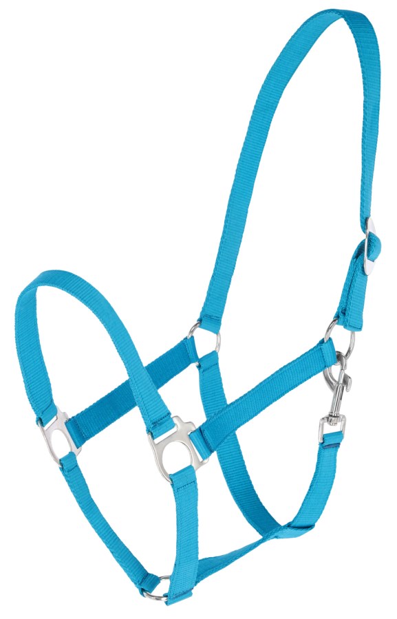 Covalliero Nylonhalfter Hippo, Pony, blau - 3230424