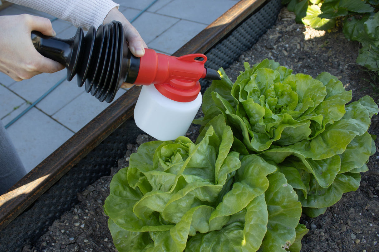 cit CIT Pulverzerstäuber 500 ml - 299761