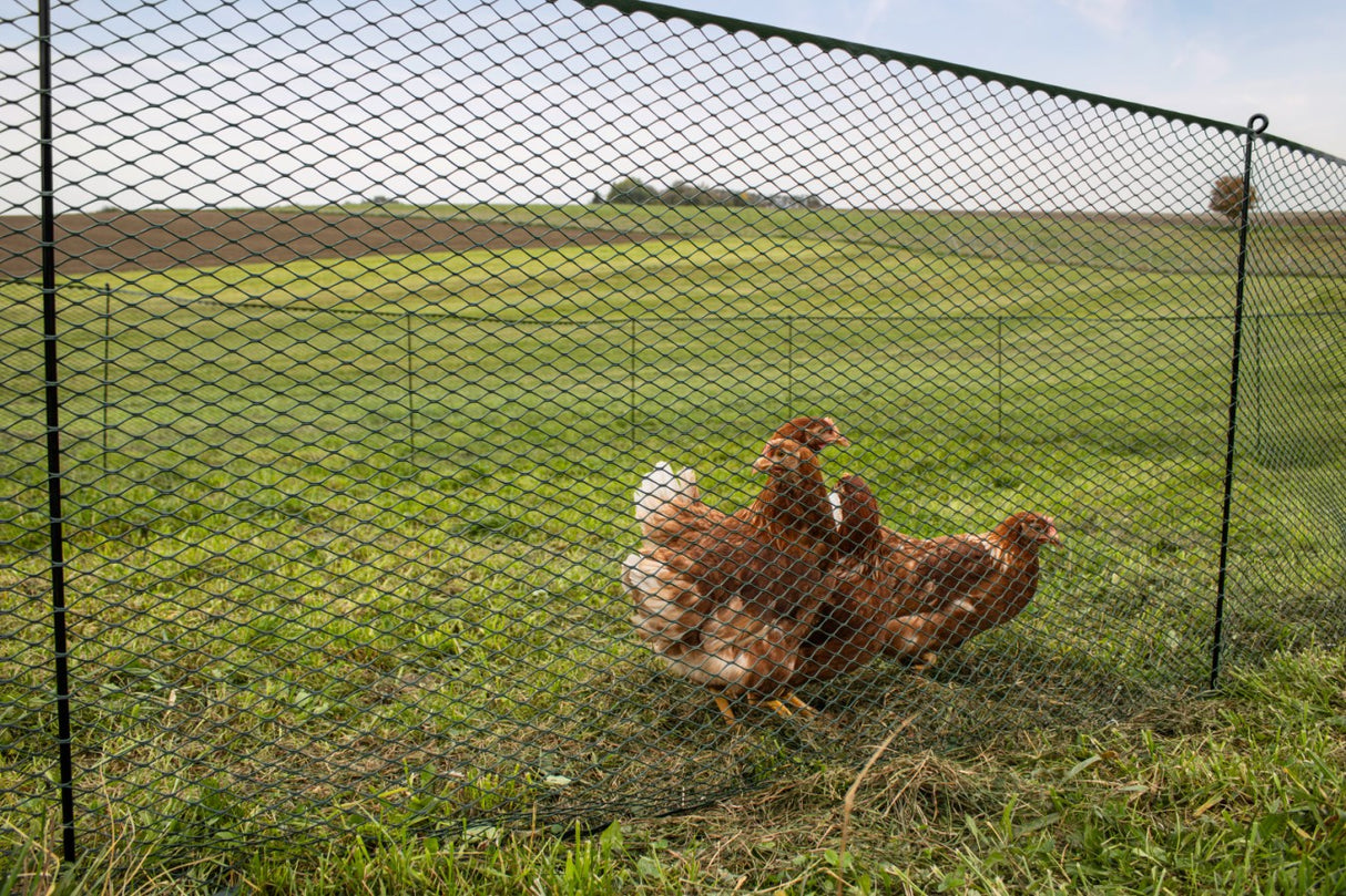 Kerbl Universalschutznetz "MultiFence", 90 cm, 25 m 15 Befestigungstäbe, 30 U-Heringe, grün - 73204