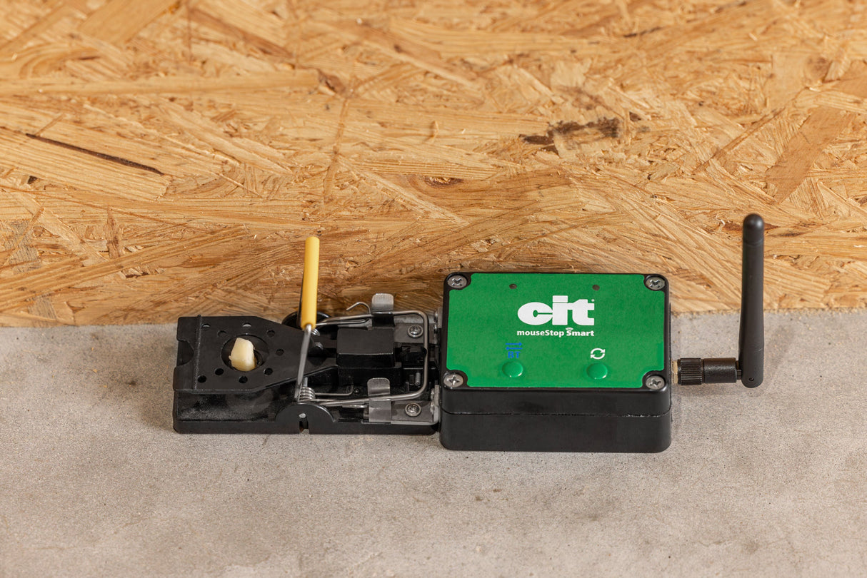 cit Cit mouseStop Smart Mäusefalle - 2998254