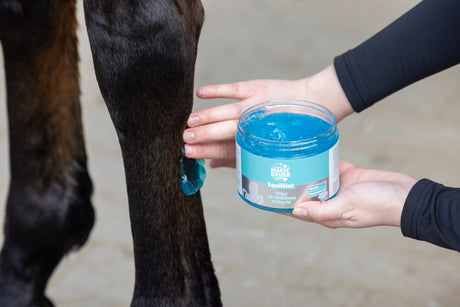 MagicBrush EquiMint, Pferde Kühlgel, 500 ml - 3230518