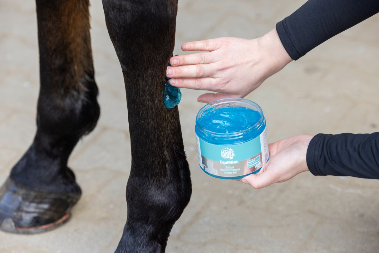 MagicBrush EquiMint, Pferde Kühlgel, 500 ml - 3230518