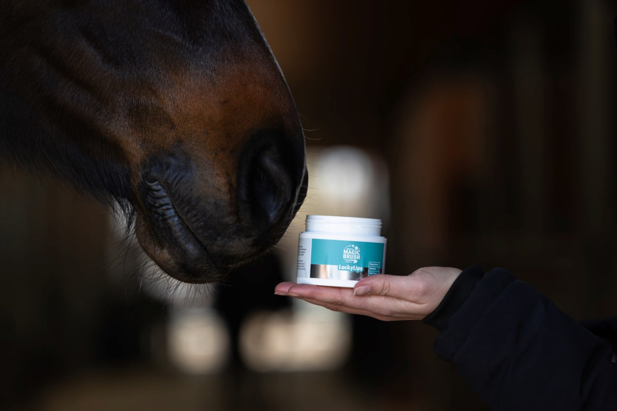 MagicBrush Lucky Lips, Lippenbalsam für Pferde, Apfel, 150 ml - 3230519