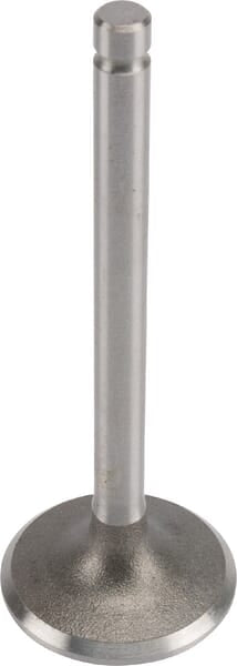 Kohler Standardansaugventil 2401701S