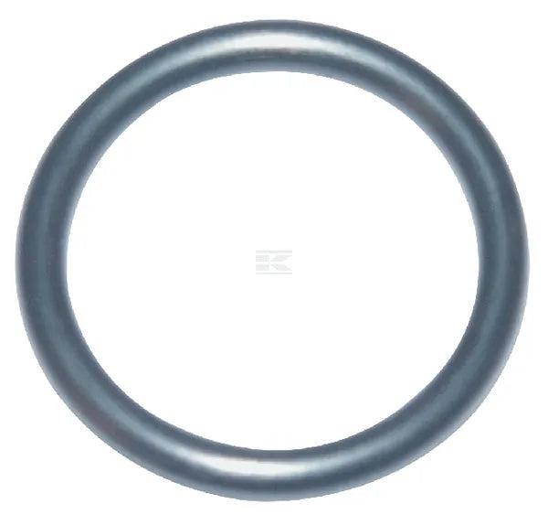 Briggs & Stratton O-Ring 270344S